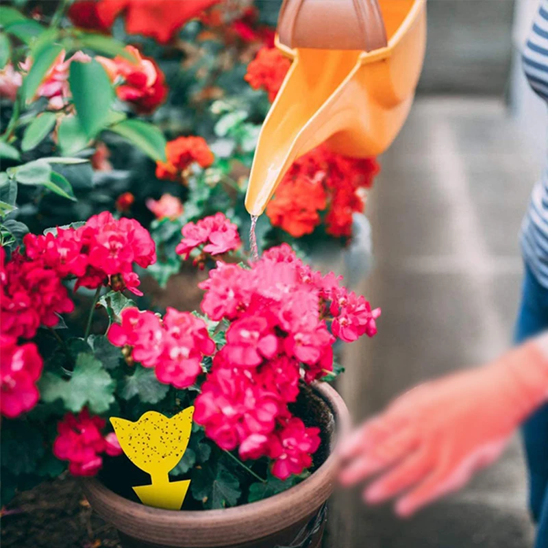 Sticky Traps  (9).jpg