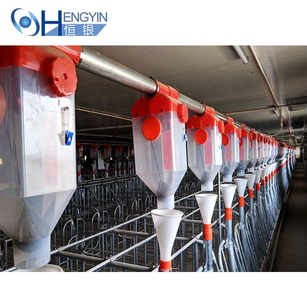 Semi-automatic feeding system automatic pig feed dispenser creep feeder hopper