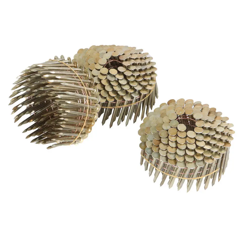 Electron Galvanized Collated Coil Roofing Nails for Working