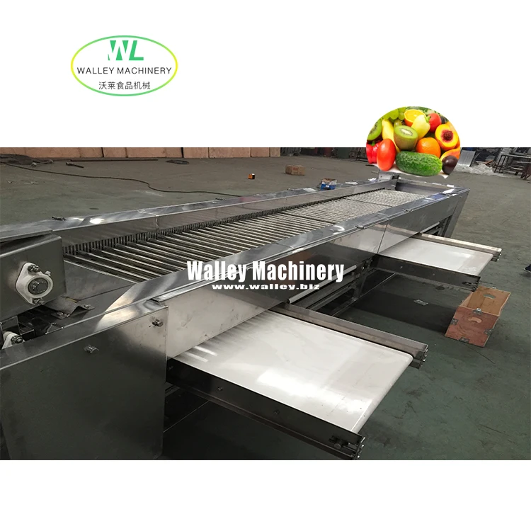 Factory Supply Price Automatic  Vegetables and Fruits Roller Grader Suit Cucumber Cherry Tomato Grading Sorting