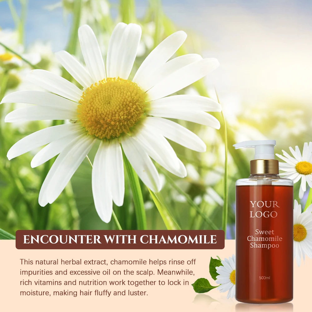 Private Label Sulphate Free Clarifying Moisturizing Anti Dandruff Fluffy Sweet Chamomile Shampoo