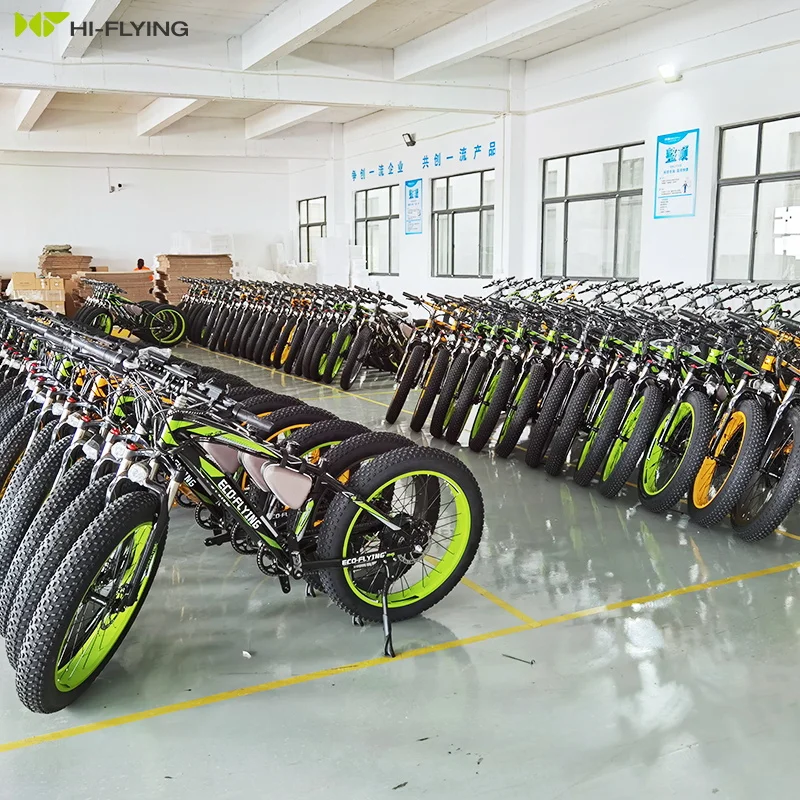China Wholesale Customized Logo e bike fat tire 48v 1000w 750W 500W Electric Bike Adult Electric Bike Bicycle