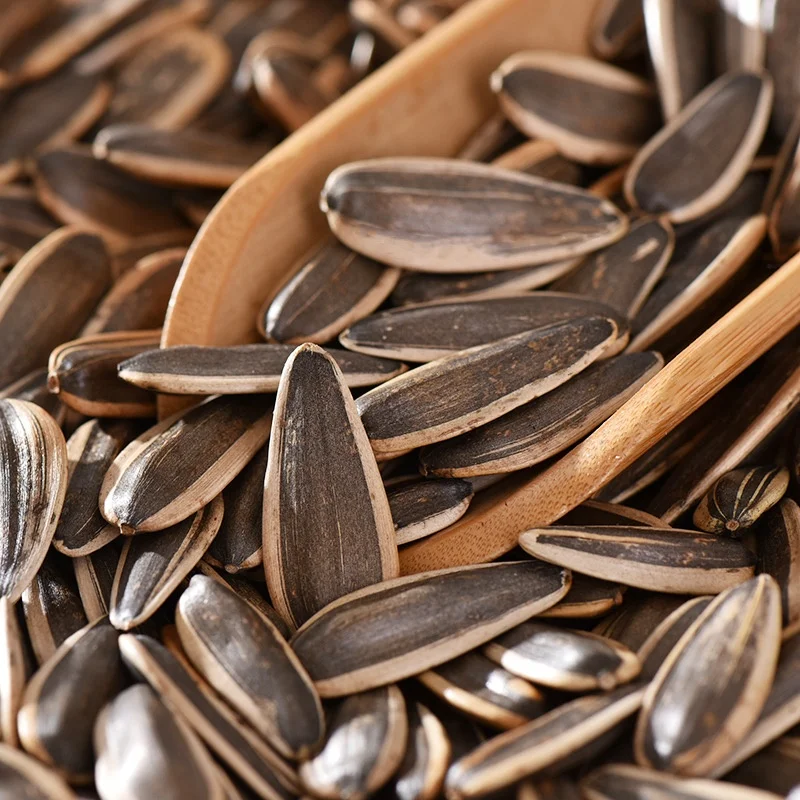 Roasted large sunflower seed Non Artificial Additives sunflower seeds china dried Nut Snacks sunflower & melon seeds