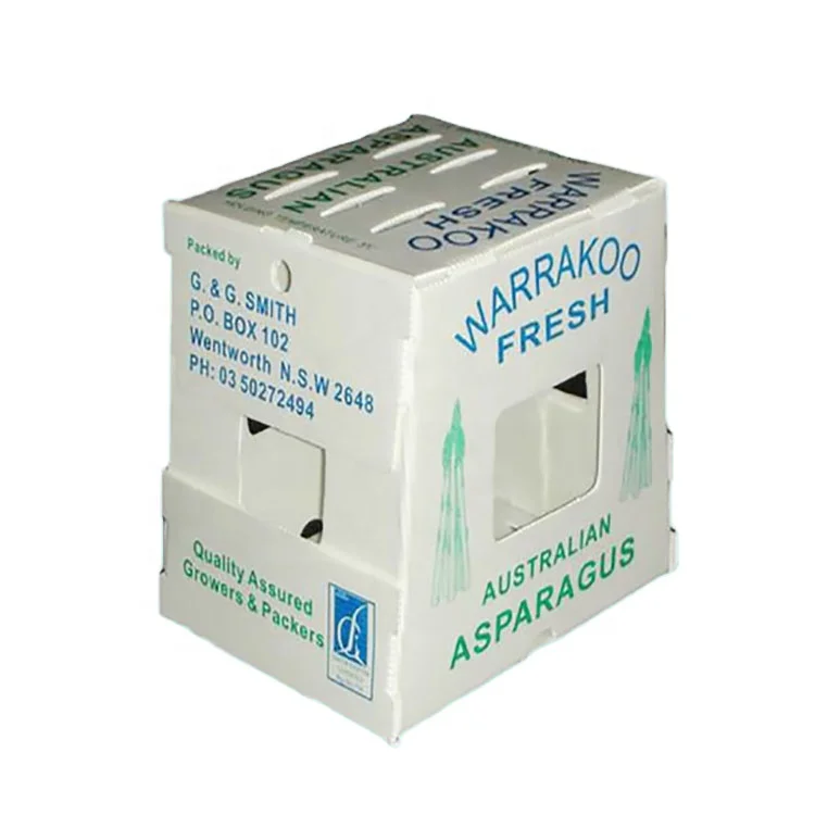 Heavy Duty Recyclable Storage Industry pp plastic box For Apple/Onion/Tomato/Mangos