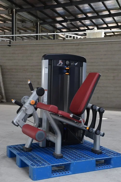 
Lifefit Gym Equipment Pin Loaded Leg Extension For Gym Club 