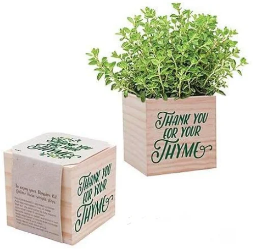 plant Cube Appreciation Gift and Wooden Planter - Employee Teacher Thank You  Desk Accessory