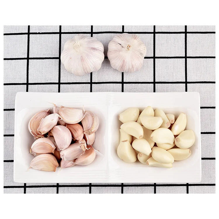 Оптовая продажа новинка поставщик свежего чеснока Обычный белый чеснок