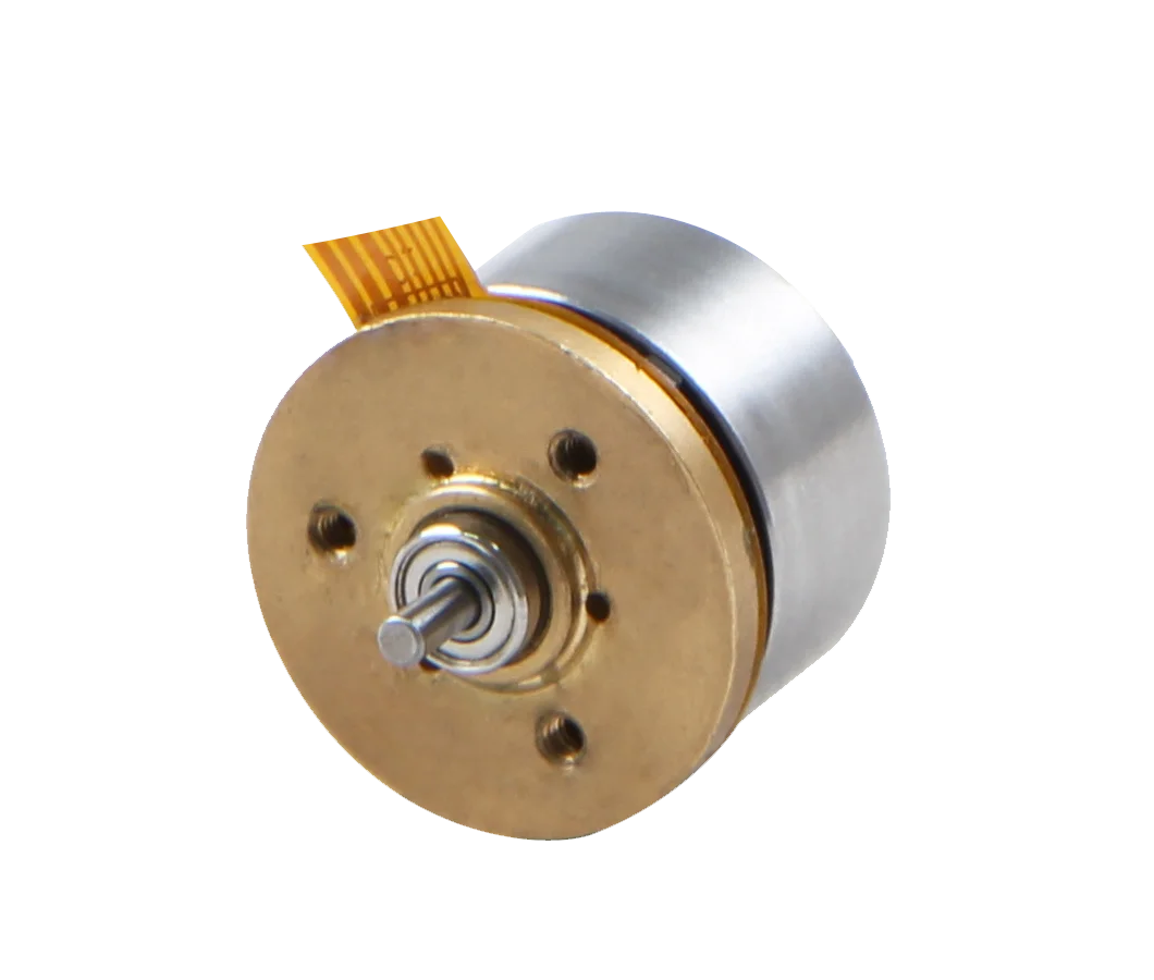 20mm 12V 5W Outer Rotor BLDC Motor