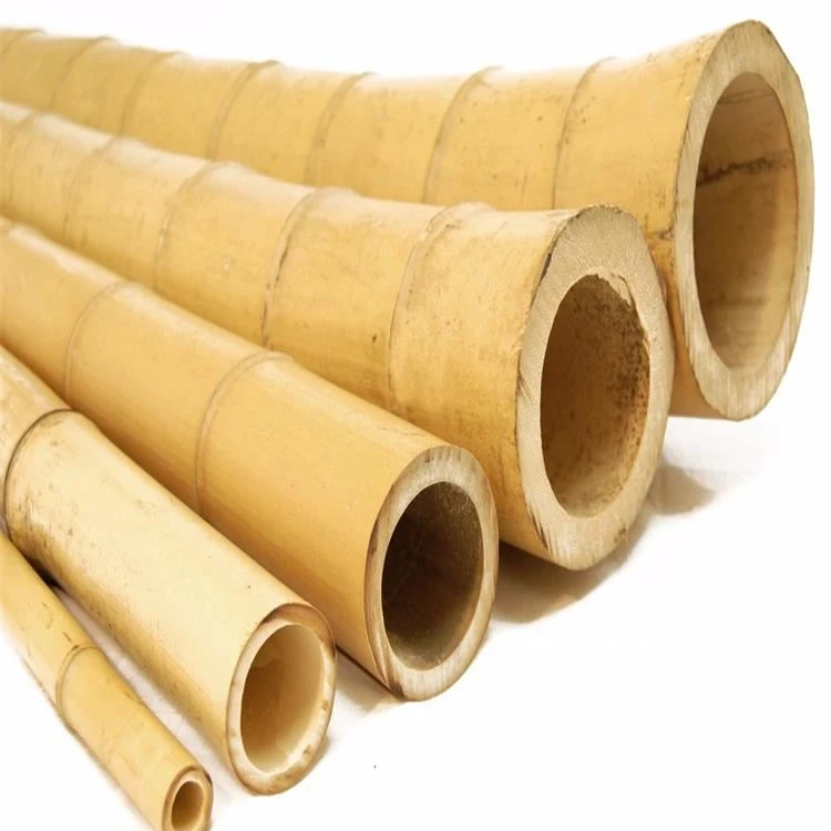 Tonkin  bamboo cane    moso bamboo Anti-mildew and insect-proof treatment