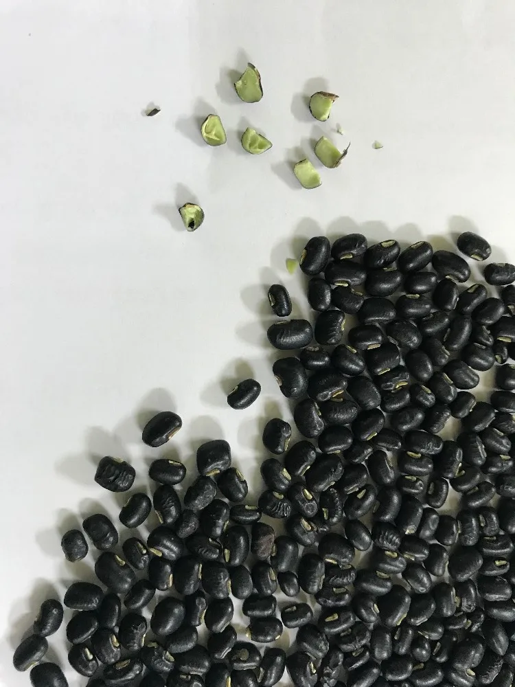 
VIET NAM ORIGINAL BLACK BEANS 