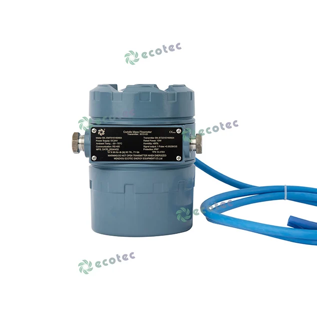 Ecotec Atex Coriolis массовый расходомер высокоточный измеритель для диспенсера LPG