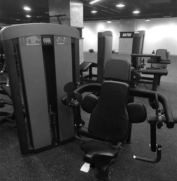 Best selling products Gym strength training gym equipment commercial equipment independent biceps curl machine