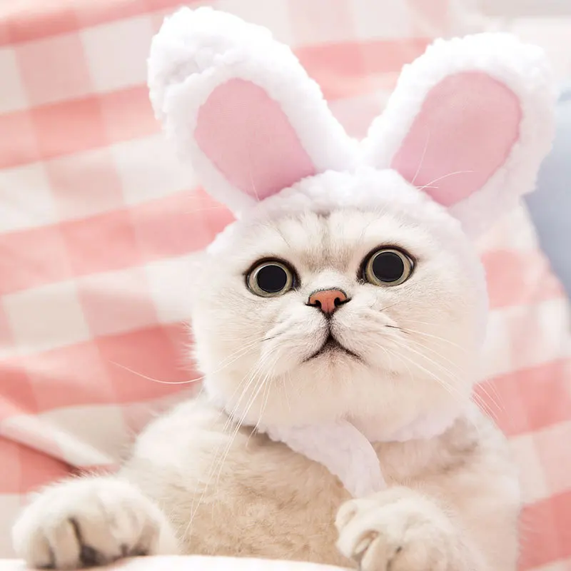 Костюм кошки Льва на Хэллоуин костюм льва для маленьких кошек и котят Косплей Одежда домашних животных