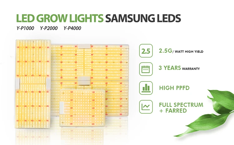 Shenzhen 2021 best commercial led grow light dimmable lights full spectrum uv indoor hydroponic lm301h led grow light