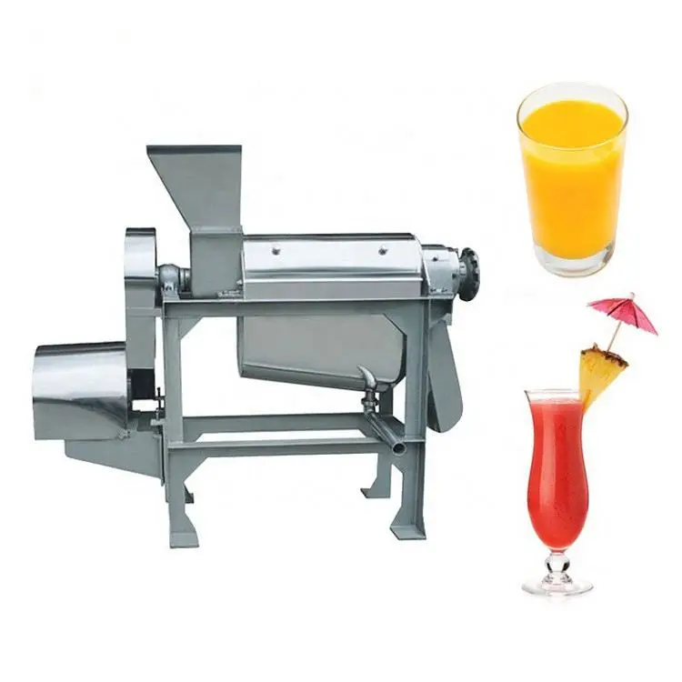 Top quality electric carrot juicer fruit juice processing machine equipment in low price