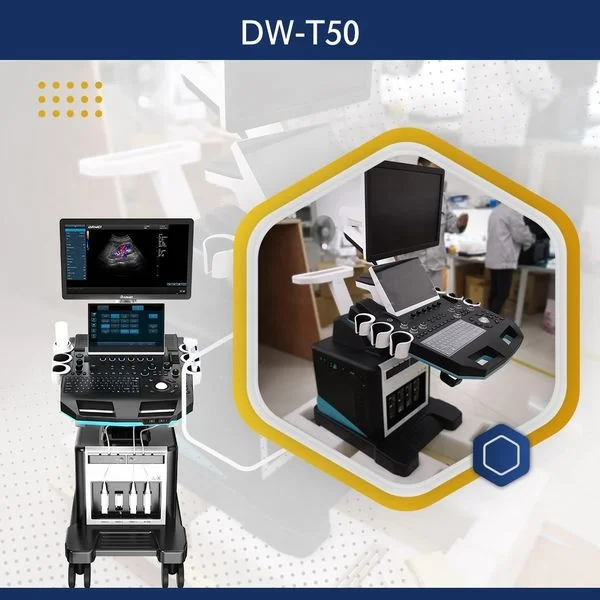 Обследование Ob/Gyn, экологичный Цветной Допплер, медицинское ультразвуковое оборудование Sonoscape с 5D визуализацией