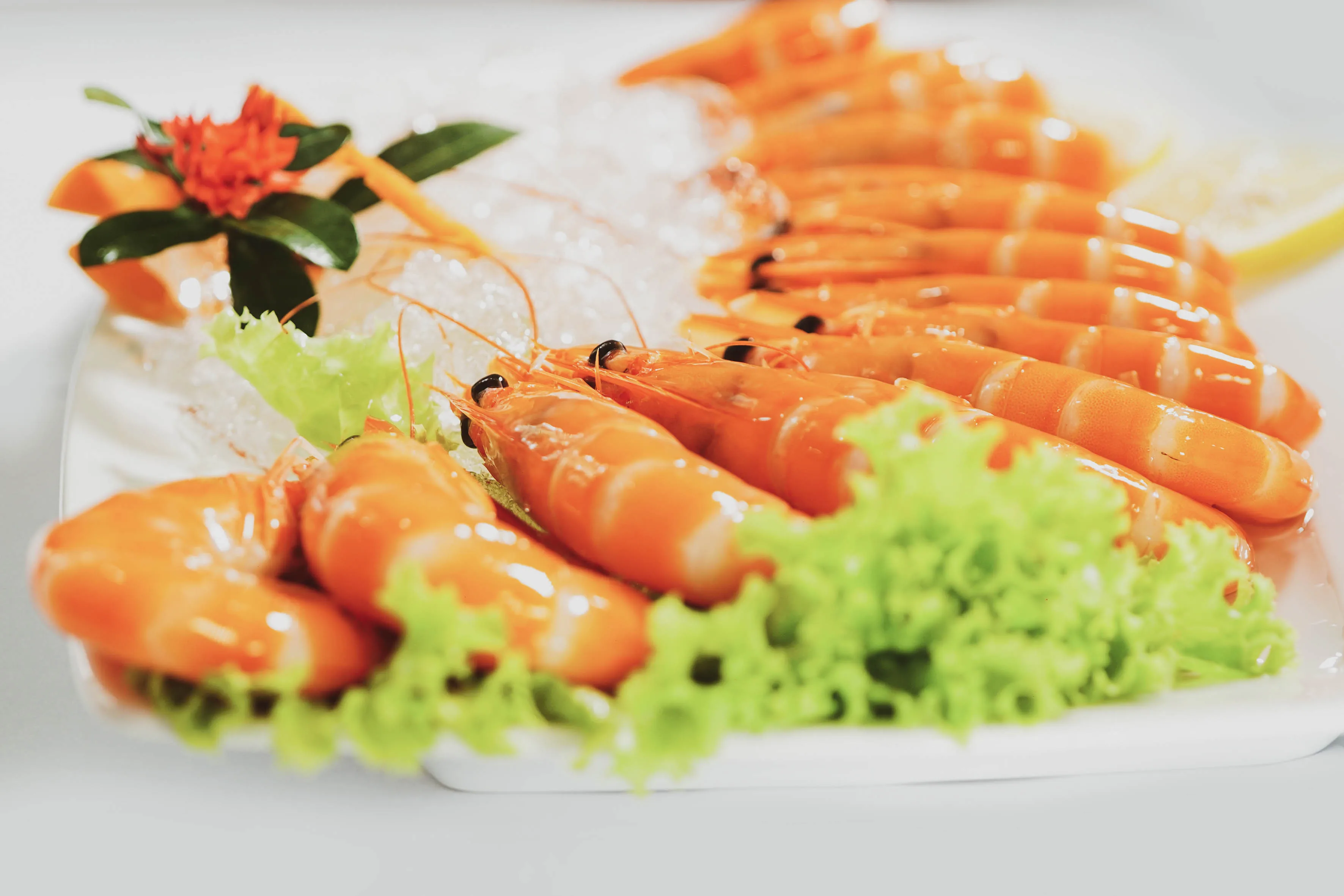 
frozen vannamei shrimp(cooked shrimp) from vietnam carton packaging haccp quality export 