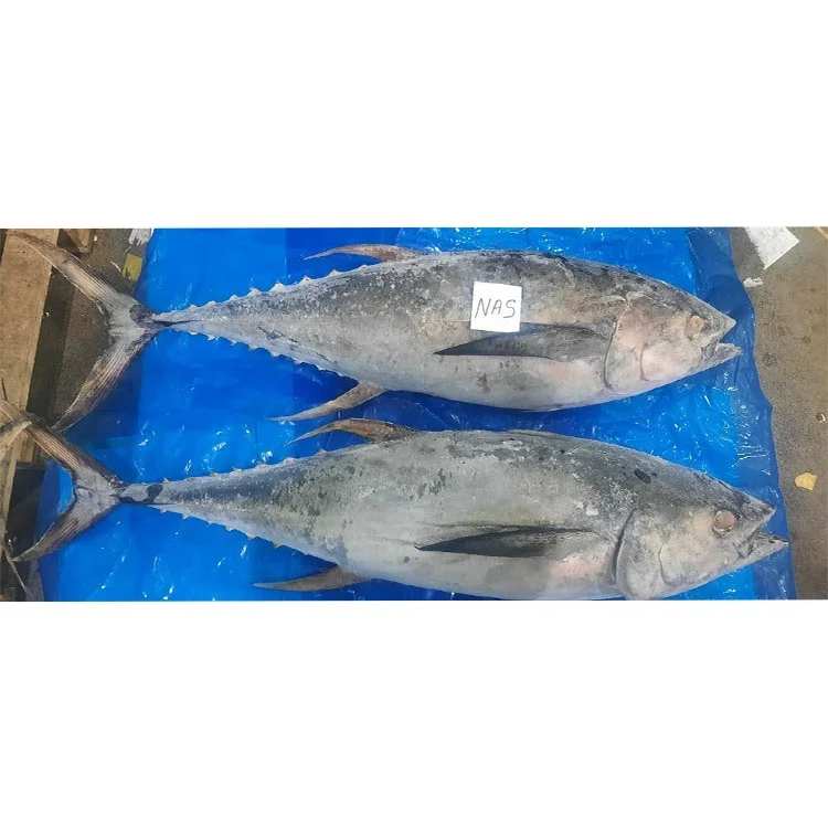 Yellow Fin Tuna Whole Round Dwt Frozen Tuna Fish Frozen Yellow Fin Tuna Wr