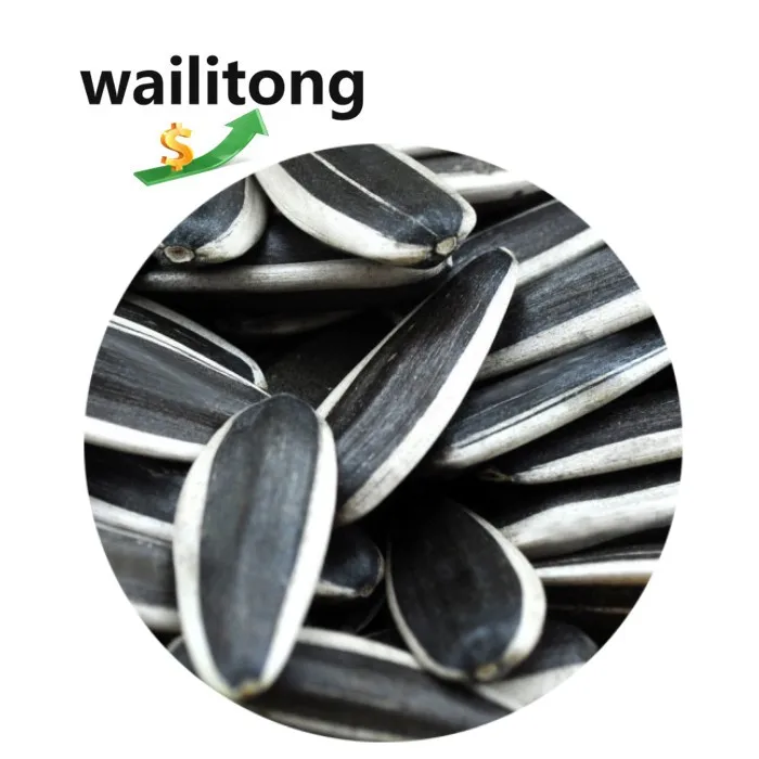 Wailitong 361 363 601 очищенные семена подсолнечника 500g в Китай (материк) Большой размер в черно-белую полоску C Raw Jumbo гигантские семена подсолнечника ядра