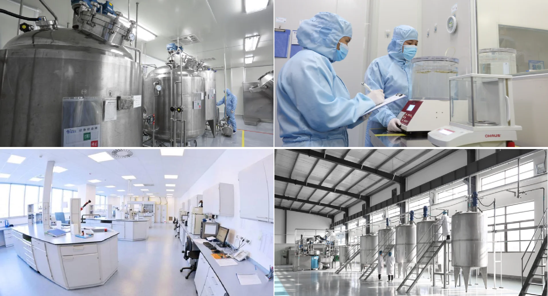 Food Grade Alpha Amylase Enzyme GMP stander