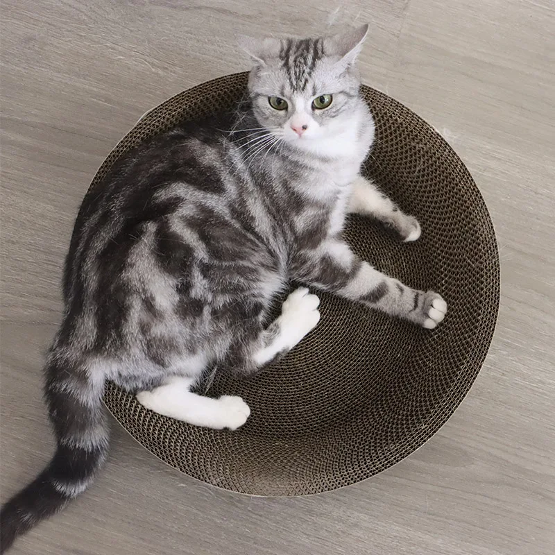 Оптовая продажа Интерактивная гофрированная бумага кошачье дерево 4 размера 3 вида цветов кровать и принадлежности для кошек собак картонная упаковка