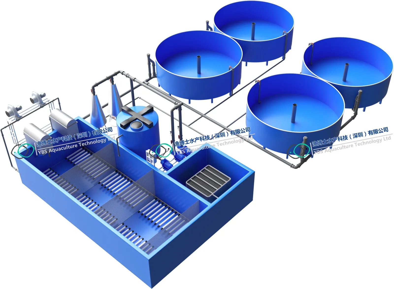 Commercial RAS fish farming equipment for high density feed