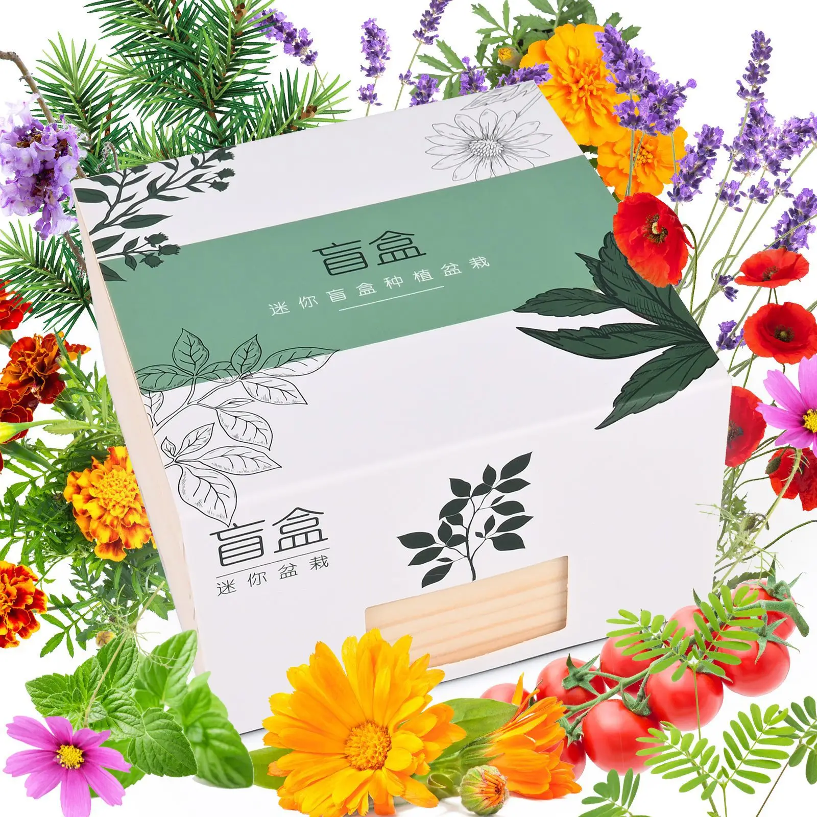 Wood Plant Markers Fertilizer Soil Disc Paper Pots For Plants Indoor Herb Garden Growing Kit