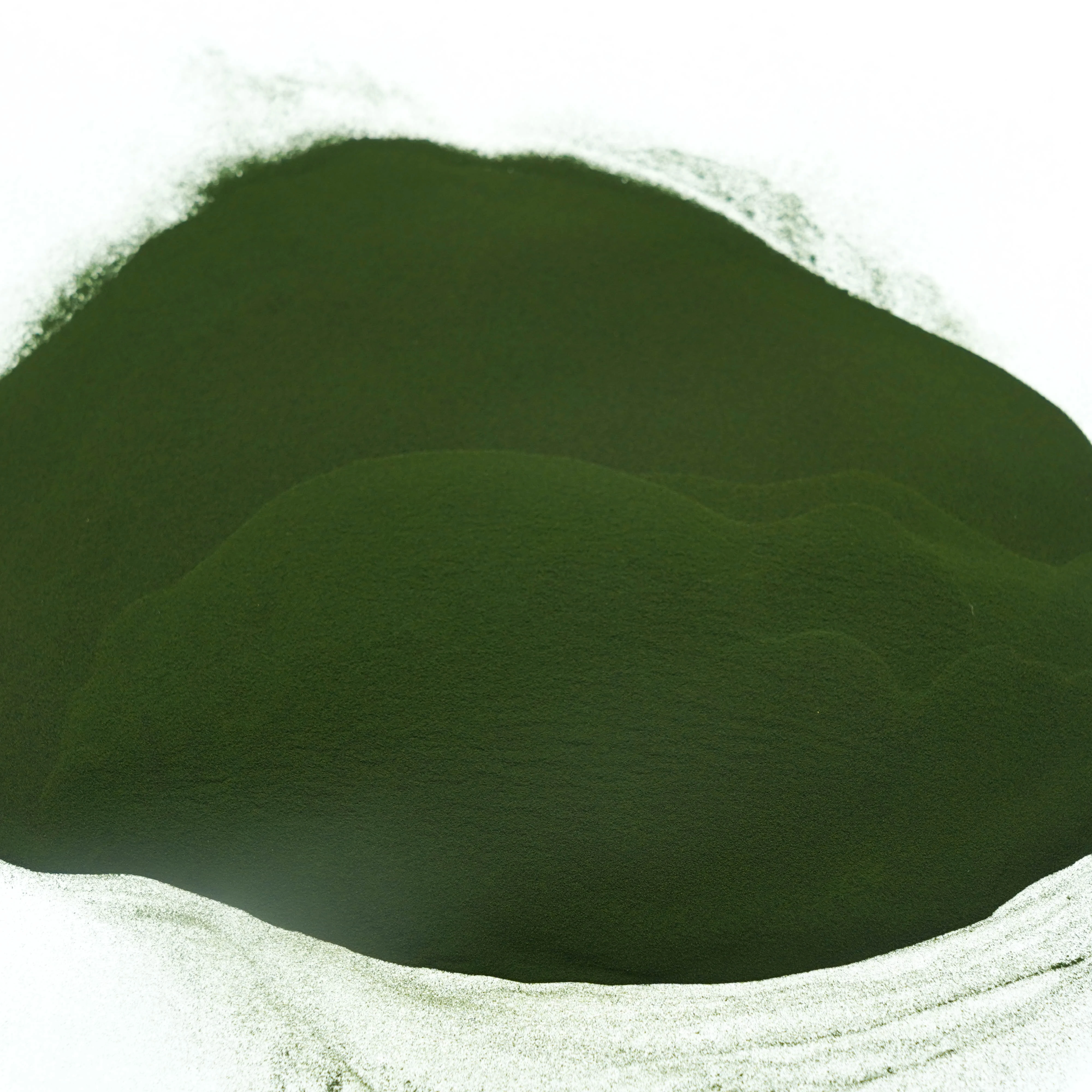Chlorella powder spirulina wholesale chlorella vulgaris algae extract