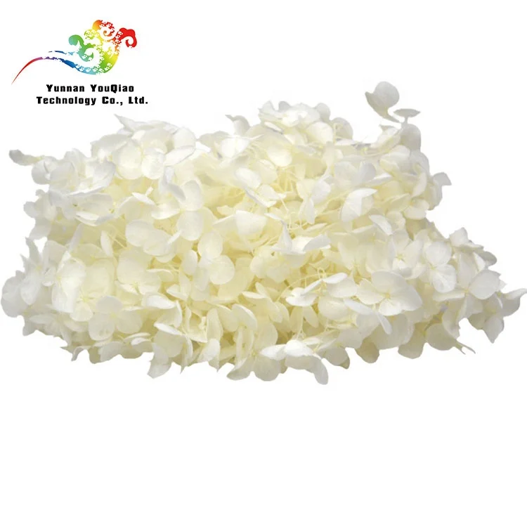 
Высококачественный долговечный неувядающий гортензийный фон для украшения стен на свадьбу, день рождения 