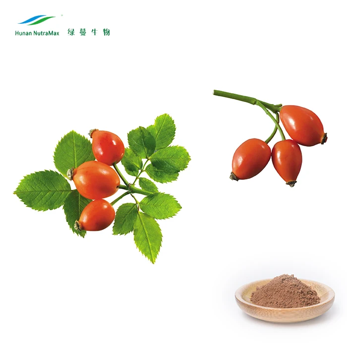Low Moq Vitamin C Rosehip Extract Powder Rose Hip Extract Private Organic Rosehip Powder