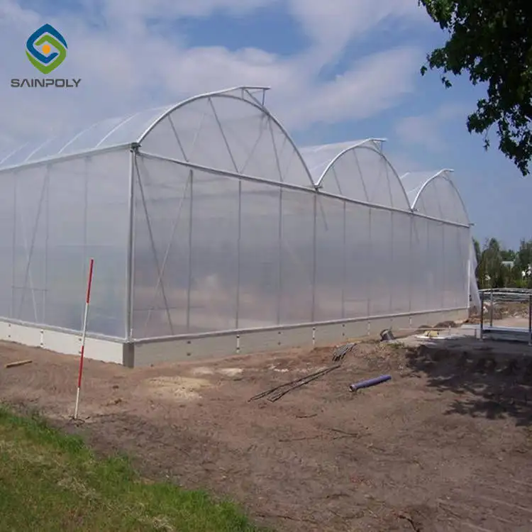 Agricultural Film greenhouse with hydroponic system