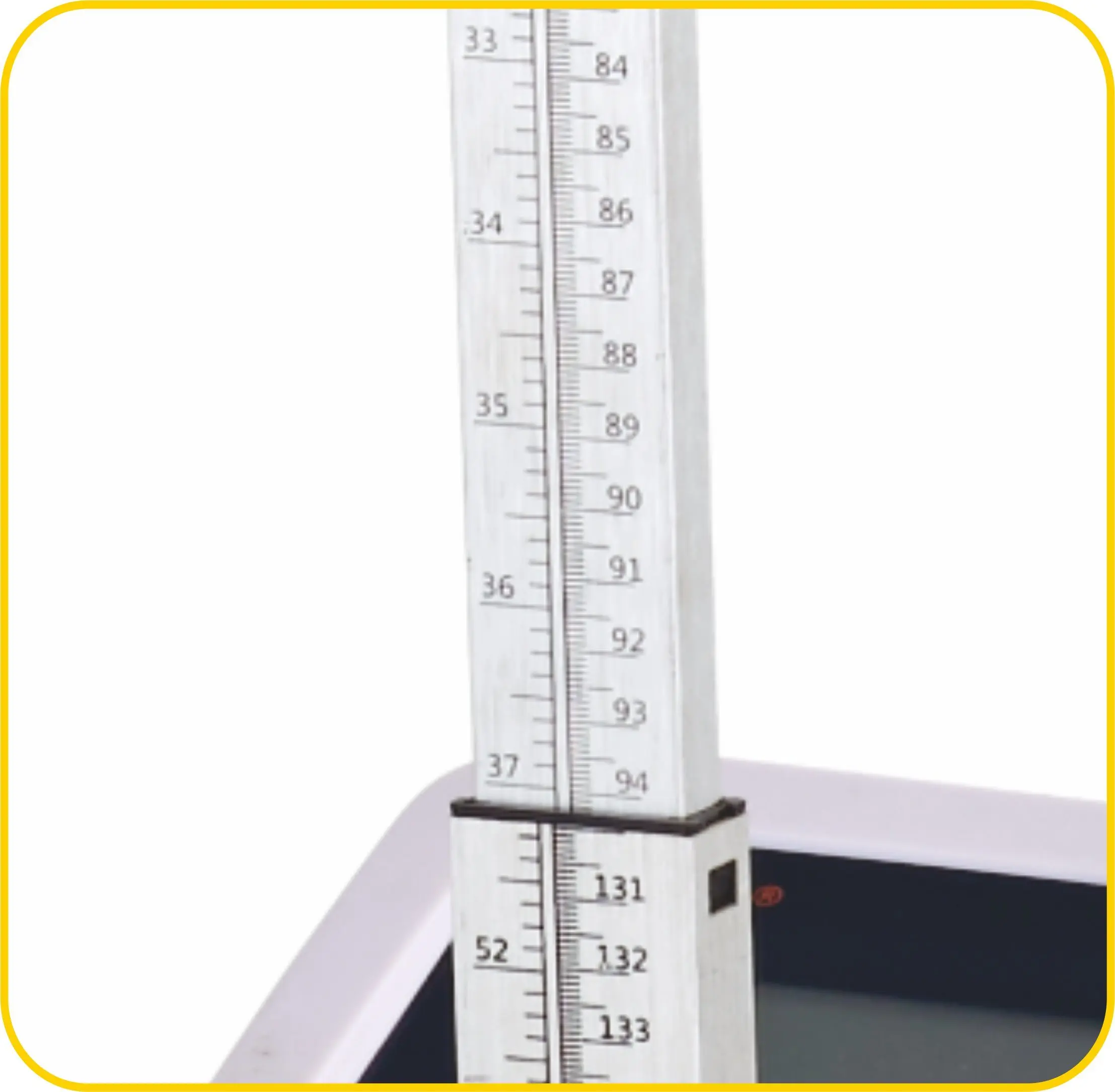 MS-A220 Platform Weighing Scales With Height Meter