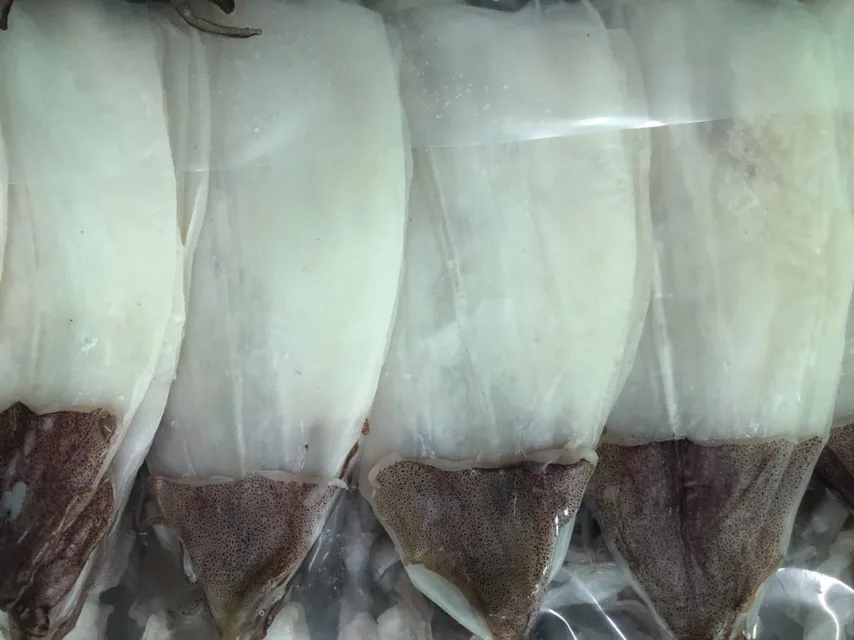 
Dried Squid skinless 