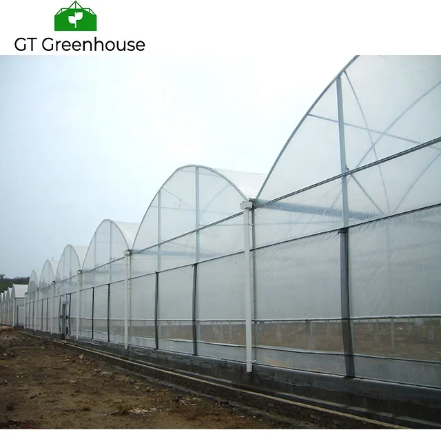 Snail Farming Agriculture Types 5th Generation Greenhouses Commercial Green House