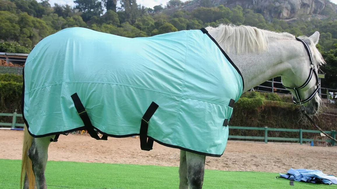 mesh horse fly sheet horse clothing supplies wholesale top selling equine products horse riding equipment equestrian blanket