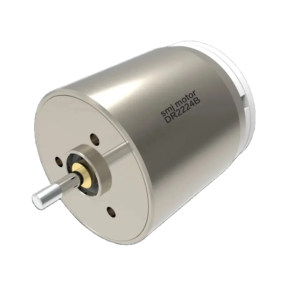 Japanese factory diameter 22mm 24V dc brush motor coreless dc motor  with graphite brushes and gear box