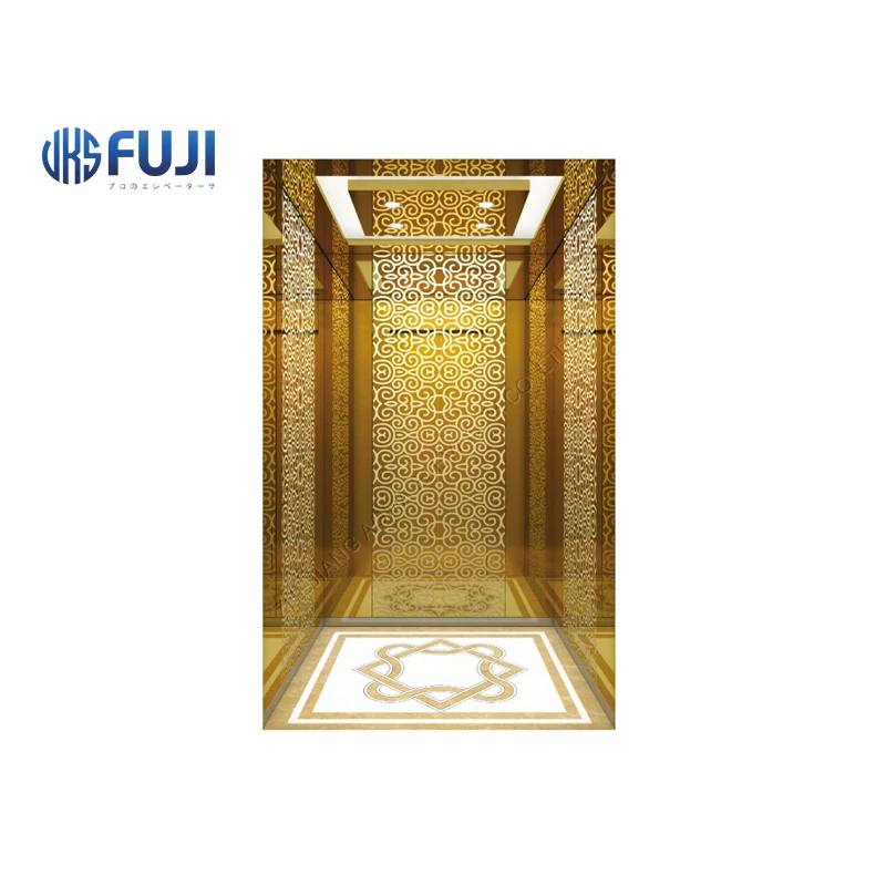 FUJI Home Lift Villa Elevator Used Home Lift Equipped with Permanent Magnet Synchronous Gearless Tractor Steel Stainless Item