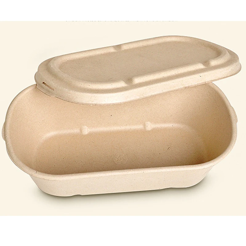1250Ml PP Lid Hot Sale Restaurant 100% Biodegradable Takeaway To Go Sugarcane Bagasse Food Container