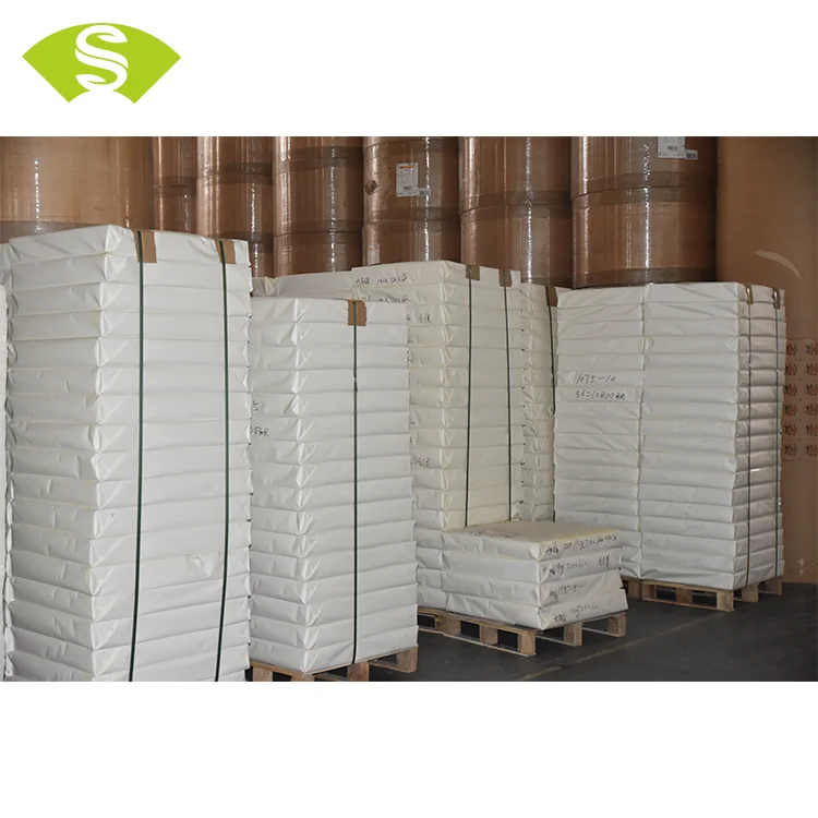 China paper manufacturer PE coated paper raw material in sheet