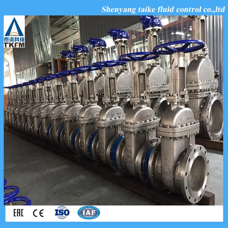 TKFM Customized Flanged ANSI Cast Stainless Steel Dn800 3 Inch Gate Valve Price