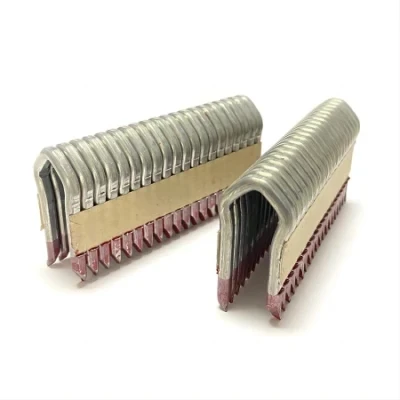 9 Gauge 38mm Galfan Fencing Staples