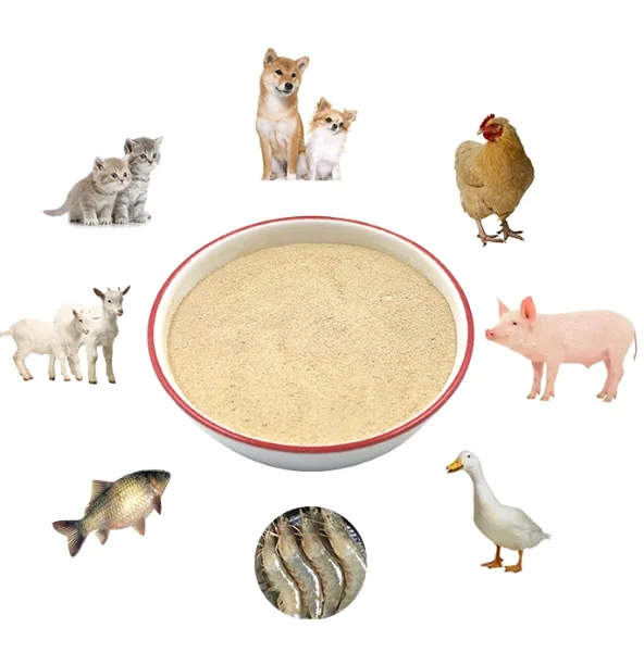 gain weight fast prevent disease Rich in Vitamins Amino Acids Minerals Probiotics Feed additives for chickens ducks geese qua