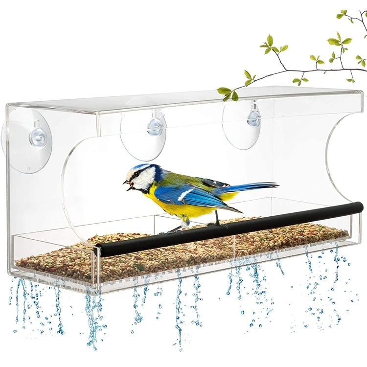 Acrylic bird feeder