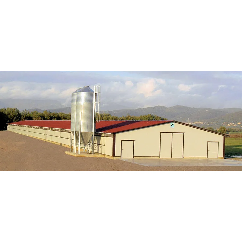 Steel Structure Building Chicken Shed Poultry House Cattle Pig Sheep  Farms Full-automatic Steel Structure