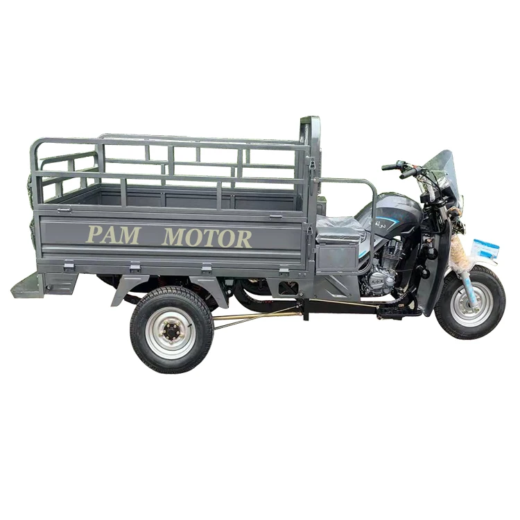 Factory price cargo type gasoline three wheel tricycle motorcycle