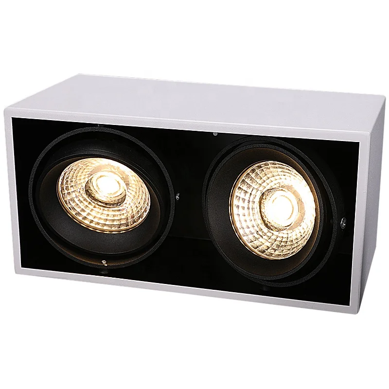 Потолочная лампа Puluoti с двойной головкой и регулируемым углом освещения для магазина одежды