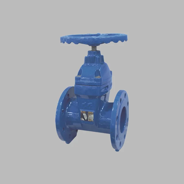 DN65 DN80 DN100 PN16 Soft Seal flange ductile iron gate valve