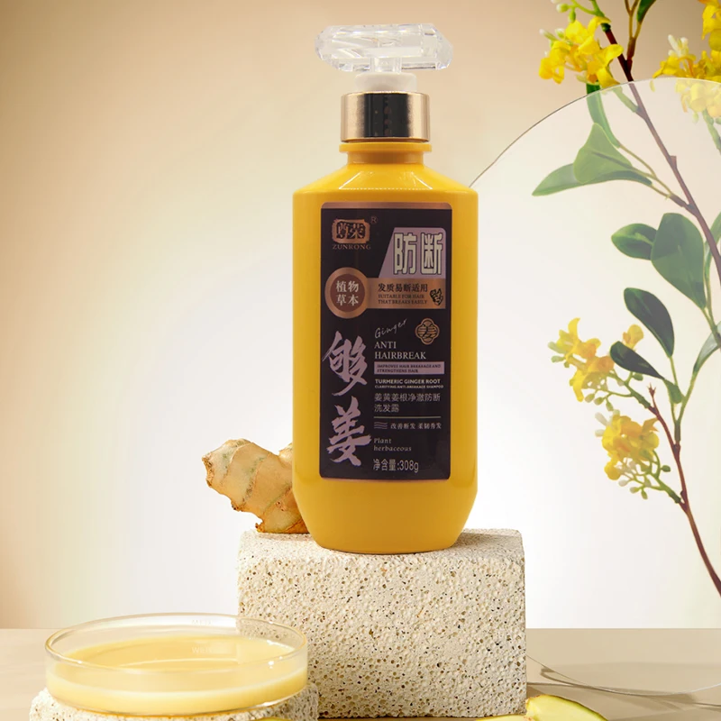 TEIENER Hot Selling Private Label 100% Natural Organic Ginger Extracts Shampoo Anti Hair Loss and Anti Hair Break