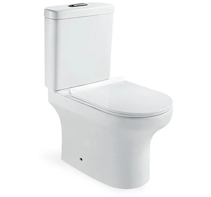 Washdown Toilet Water Saving Siphon Flushing Sanitary Ware Two Piece Toilet (Hz826)