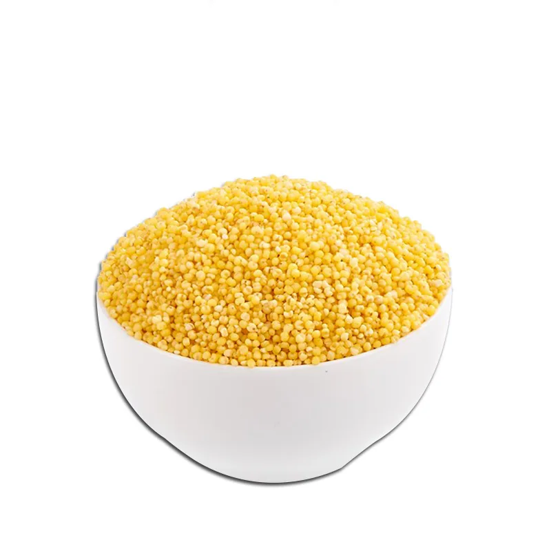 China Manufacturer New Product 500g Yellow Gluten-Free Grain Millet
